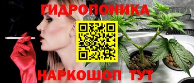 СК Партизанск
