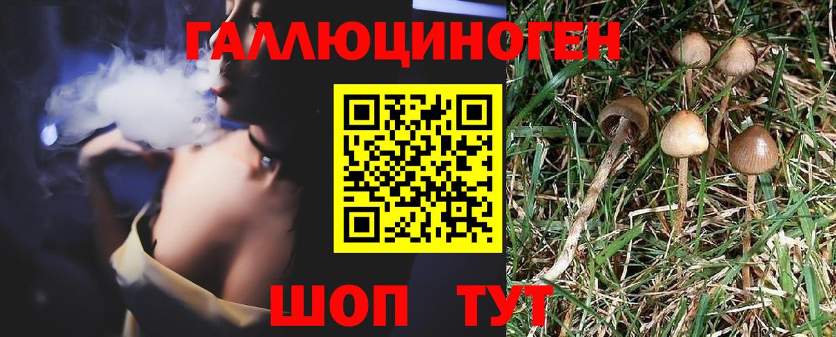 Галлюциногенные грибы мухоморы  Галлюциногенные грибы ЛСД  Вход с VPN  Трёхгорный 